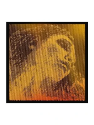 Horká Nabídka Pirastro EVAH PIRAZZI GOLD (G silver) violin 415921