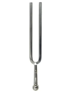 Nejlepší Cena Wittner LADIČKA No. 922 A=440 Hz