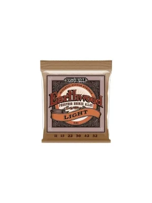Super Cena Ernie Ball 2148 EARTHWOOD Phosphor Bronze LIGHT