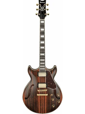 Ibanez AM93ME-NT Ihned K Objednání