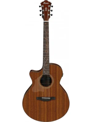 Ibanez AE295L-LGS Poslední Šance