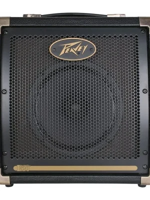 Výhodná Nabídka Peavey Ecoustic 20