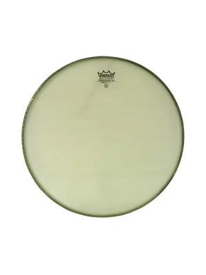 Top Prodej Remo Ambassador Renaissance 8" RA-0008-SS
