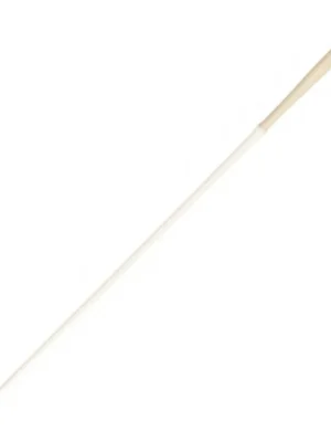 Speciální Cena Taktovka ROHEMA Liszt