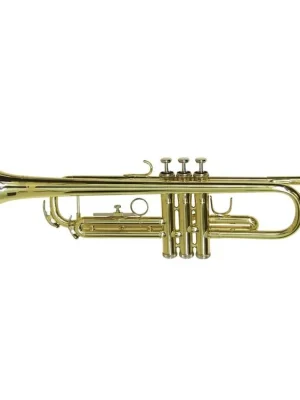 Vysoce Kvalitní Dimavery TP-10 B trubka