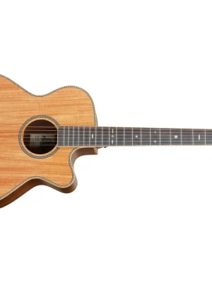 Nakupujte Hned Elektroakustická kytara TANGLEWOOD TRSF CE BW