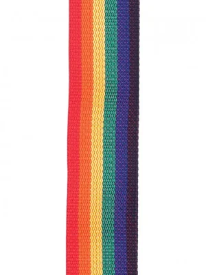 D'Addario Polypropylene Guitar Strap, Rainbow Výhodná Nabídka