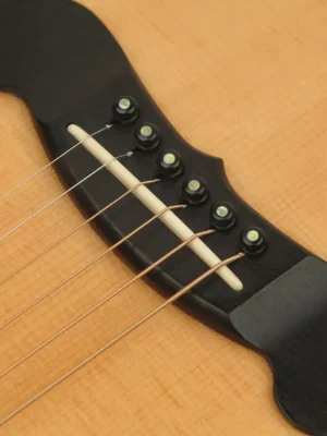 Tovární Cena D'Addario Ebony Bridge Pins with End Pin Set, Abalone Inlay