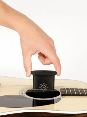 Horká Nabídka D'Addario Acoustic Guitar Humidifier Pro