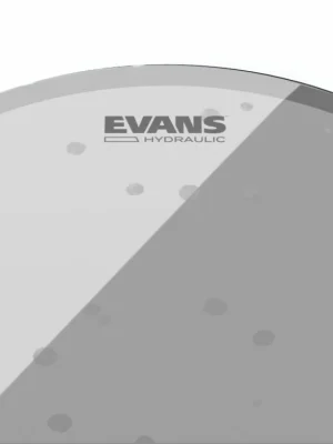 Must-Have Evans Hydraulic Glass Drum Head, 6 Inch