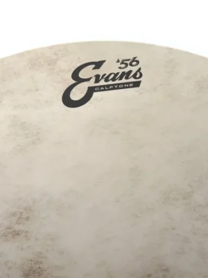 Zlevněný Evans Calftone Tom Batter, 13 Inch