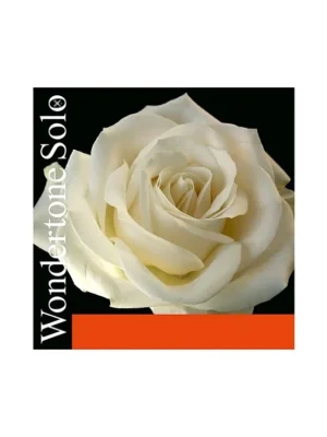 Pirastro Wandertone E - Houslová struna Odeslání Ihned