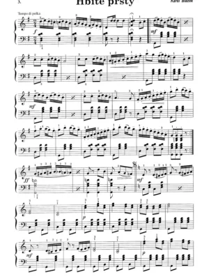 10x pro akordeon - POLKA - Karel Blažek Vysoce Kvalitní