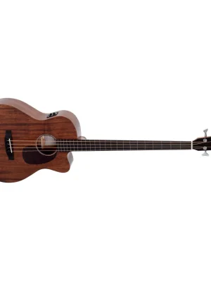 Expresní Doručení SIGMA GUITARS BMC-15FE Natural