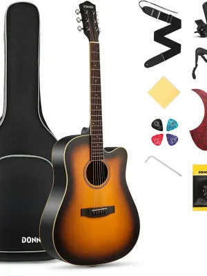 Nejprodávanější DONNER DAG-1CS - Sunburst