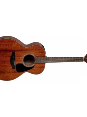 TAKAMINE GLN11E - Natural Satin Speciální Cena