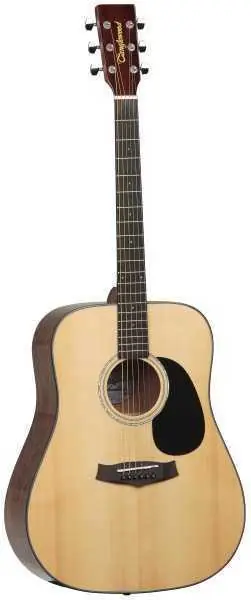 Top Prodej Tanglewood TD8 ST