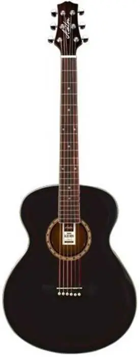 Ashton SL29 BK Top Prodej