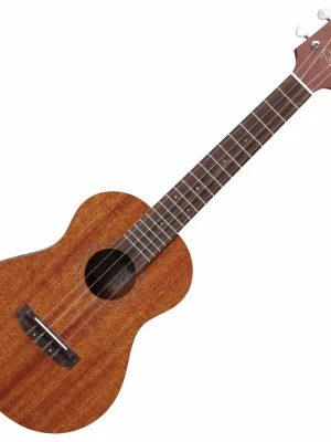 Takamine GU-T1 Akční Nabídka