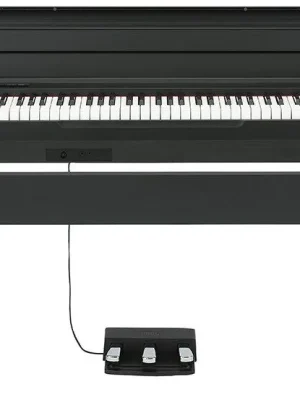 Rychlé Dodání Korg LP-180BK