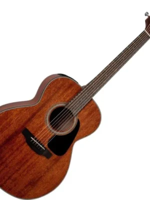 Sleva Takamine GLN11E