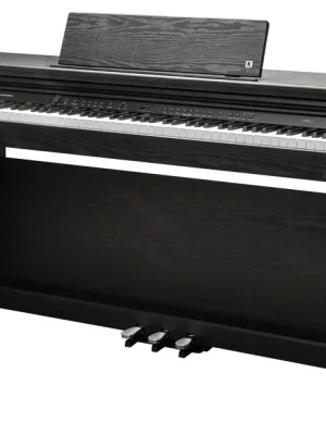 Odeslání Ihned KURZWEIL CUP E1 BK