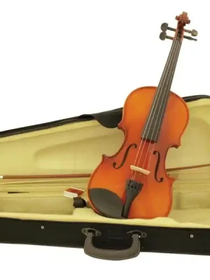 Super Cena Dimavery housle 4/4 s pouzdrem