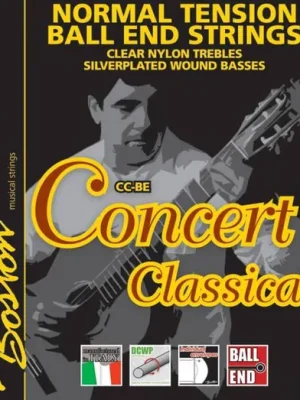 Bezpečná Platba Boston Concert CC-BE