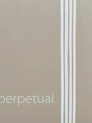 Vrácení Zdarma Pirastro Perpetual P41A021