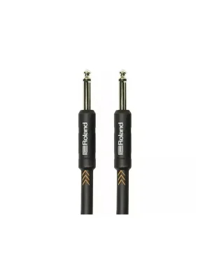 Novinka Roland RIC-B25