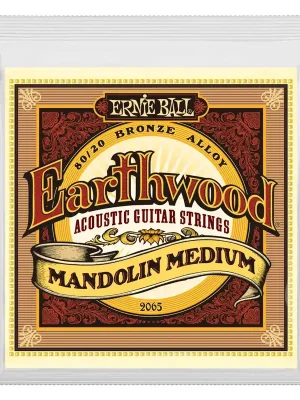 Ernie Ball 2065 Autentický