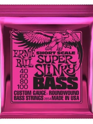 Ernie Ball 2854 Top Prodej