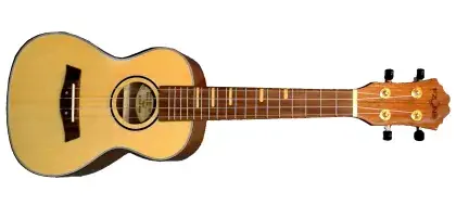 Zlevněný Ukulele sopránové FZone FZU-01S Spruce
