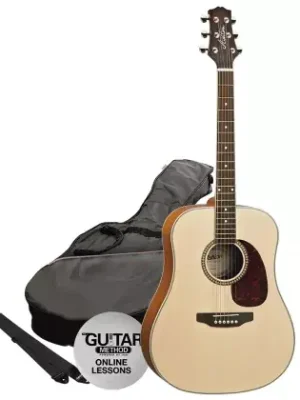Nejprodávanější Akustická kytara paket Ashton D25 NTM Pack