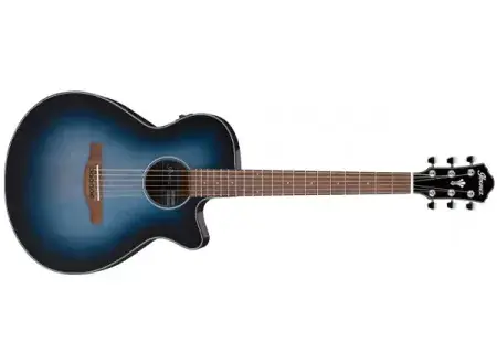 Nejlepší Cena Elektroakustická kytara Ibanez AEG50 IBH