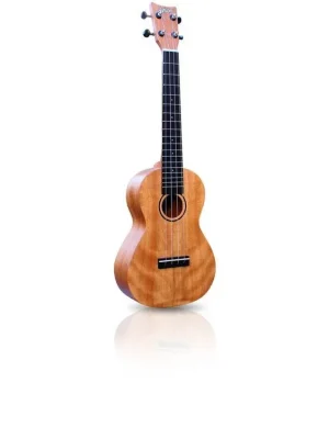 Aktuální Ashton UKE 500CMA koncertní ukulele