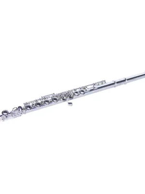 Cenový Hit Dimavery QP-10 C flétna příčná, postříbřená, předsunutá G klapka,