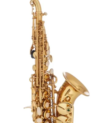 BACIO INSTRUMENTS BSS-100C Originální