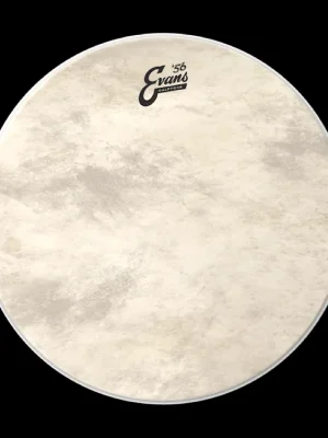 EVANS G1 CALFTONE 56 10" Nízká Cena