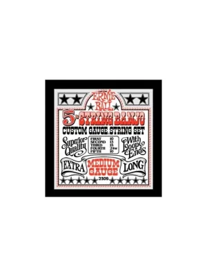 Aktuální Ernie Ball Medium 5-String Loop End Stainless Steel Banjo Guitar Strings