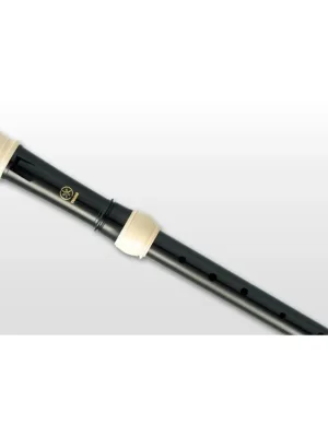 Nejlepší Volba YAMAHA YRT-304BII