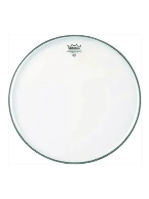 Koupit Online Remo 14´´ Ambassador Coated