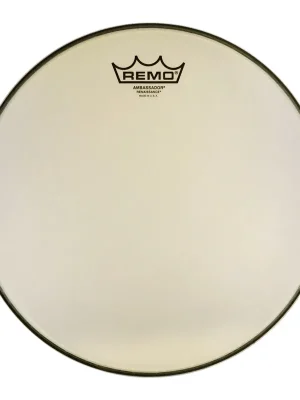 Rychlé Dodání Remo RA-0014-SS Renaissance Ambassador 14"