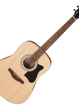 Ibanez V40-OPN Acoustic Open Pore Natural Akční Cena