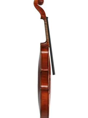 Housle Europa Maestro Vrácení Zdarma