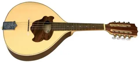 Plochá mandolína Pro Natura Silver Pouze Dnes