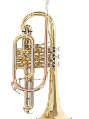 Top Prodej Bb-kornet Roy Benson CR-302