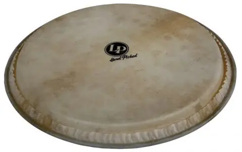 Oblíbený Blána pro Djembe Hand Picked