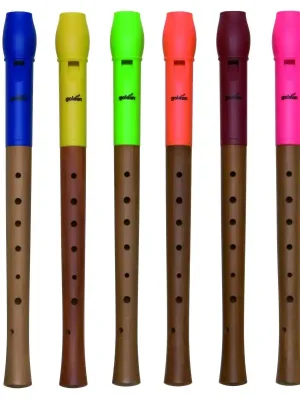 Nejlepší Volba GOLDON - Flétna dřevěná/plastová (42000)
